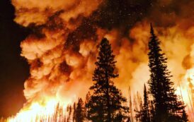Two Innovative Canadian Drone Companies Join Forces to Fight Kelowna Wildfires