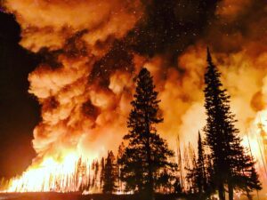 drones for wildfires, drone data, automated drone flights